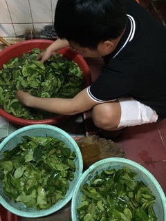 khô gà lá chanh 100gr