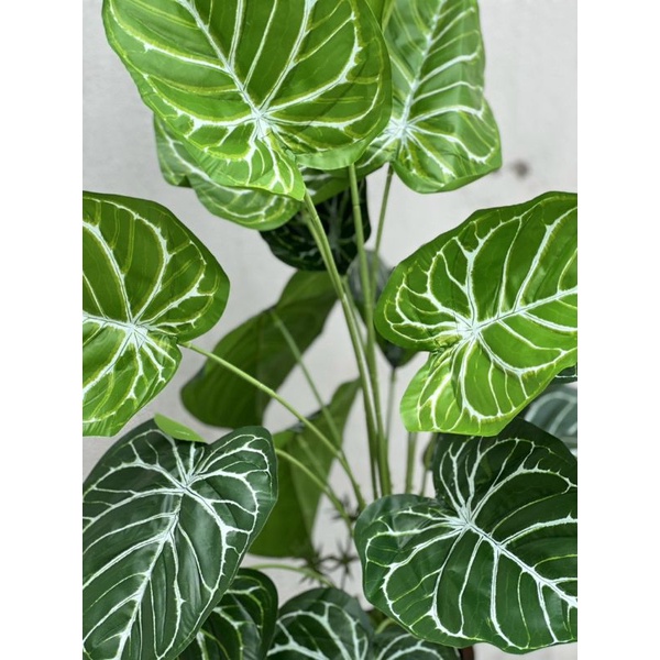 Cây giả/ Cây cảnh 18 lá các mẫu cao 70 - 80 cm và 1,1m decor không gian siêu đẹp