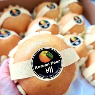 [1KG] Lê Nâu Hàn Quốc - Ship hàng siêu tốc