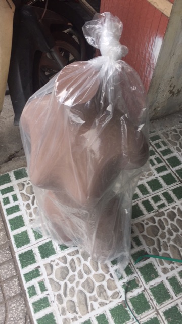 Manocanh bán thân đồ lót