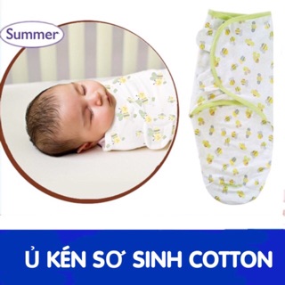 Ủ kén sơ sinh cotton Sunmer mùa hè