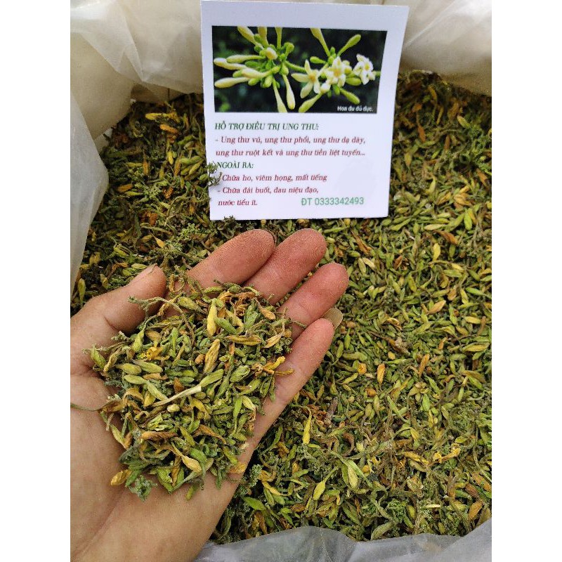 Hoa đu đủ đực khô 1kg (nguyên chất) | BigBuy360 - bigbuy360.vn