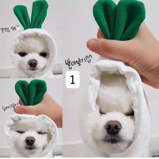 Áo thú cưng