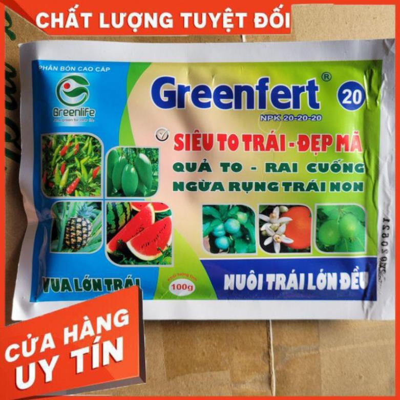 gói siêu to trái Greenfert 20 20 20 to trái đẹp mã, dai cuống, ngừa rụng trái non.