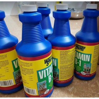 Phân bón bổ xung vitamin B1 Western States chai 946ml nhập khẩu Mỹ