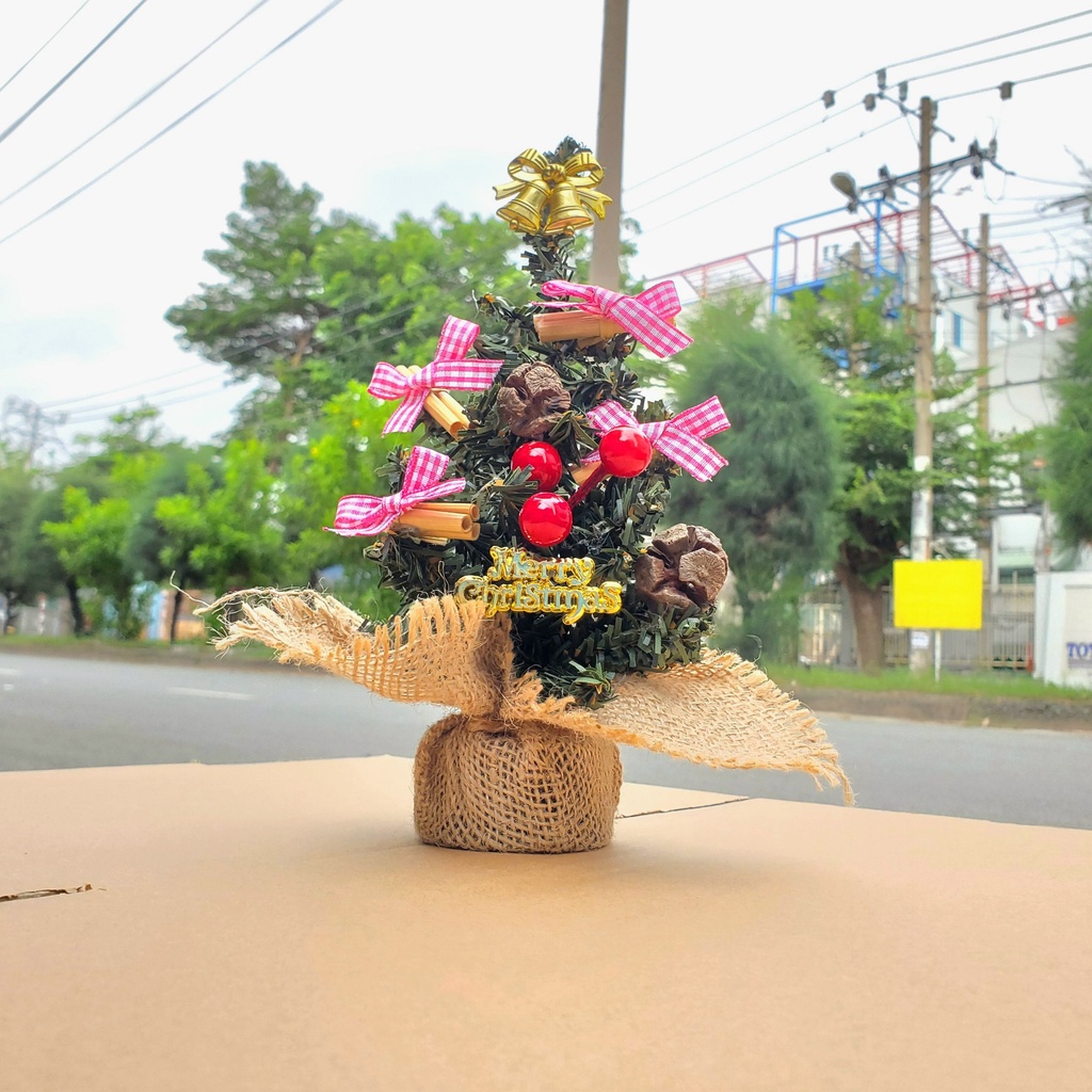 Cây Thông Nhí 20CM TNM10 Để Bàn Trang Trí Giáng Sinh