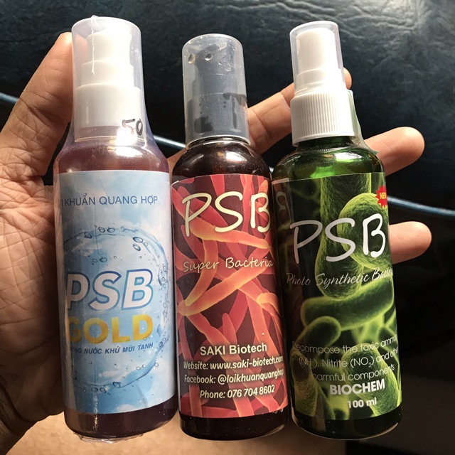 COMBO 3 LOẠI PSB THIẾT LẬP VI SINH CHO HỒ CÁ NON BỘ