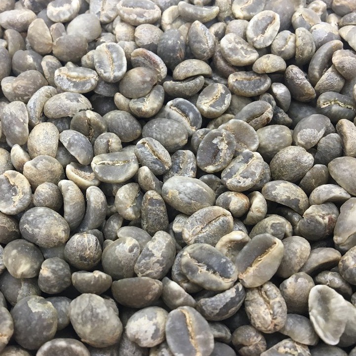 1kg Cà phê nhân xanh Arabica Cầu Đất (Nhặt tay, 100% trái chín) - TBCAFE