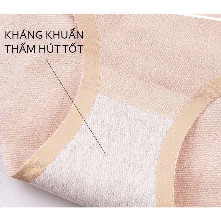 Quần lót nữ cotton trơn basic 138
