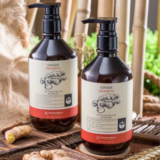 Dầu gội Gừng