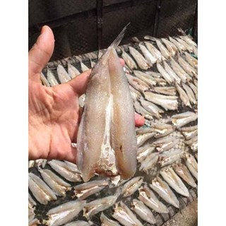 [HN- Giao nhanh 1-2h] CÁ MỐI RÚT XƯƠNG phơi héo 1 nắng