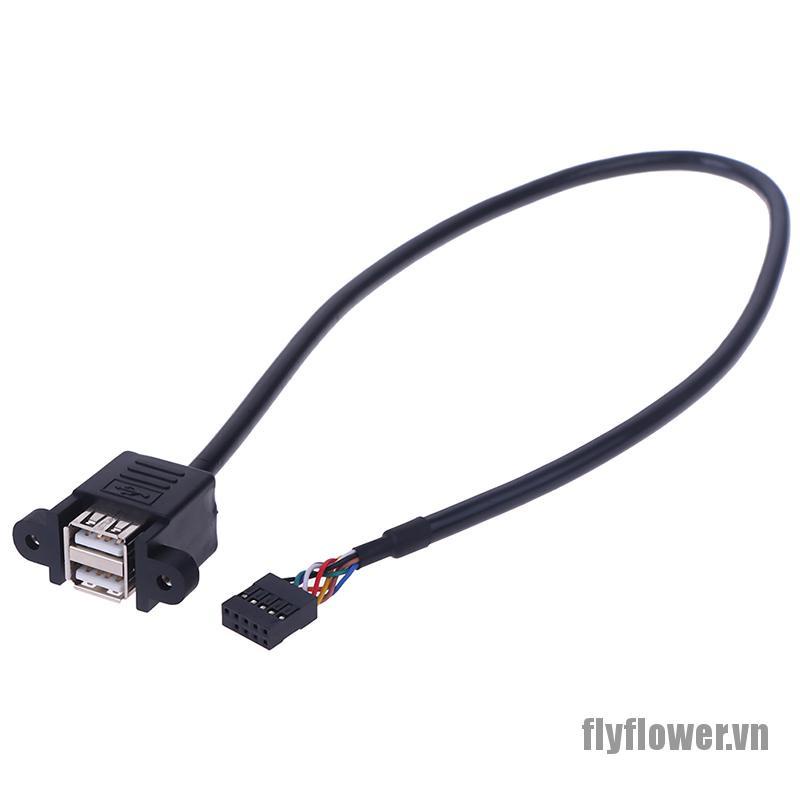 1 Cáp Mở Rộng 9 Pin Sang 2 Cổng Usb 2.0