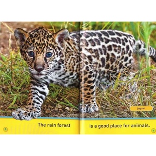 NATIONAL GEOGRAPHIC PRE READERS