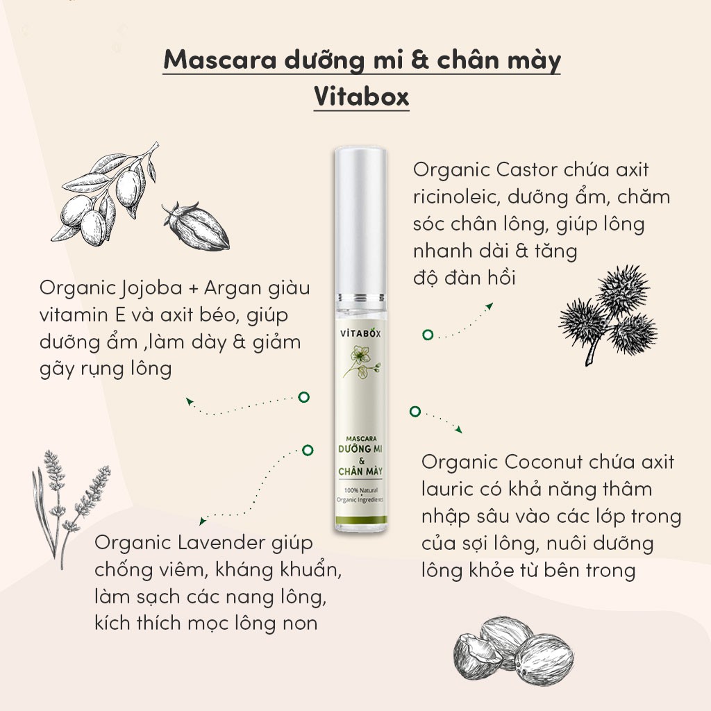 ( Mypham35 ) Chuốt dưỡng mi thiên nhiên VITABOX - Mascara castor dầu dừa hữu cơ dưỡng lông mày, lông mi dài, dày, giảm r