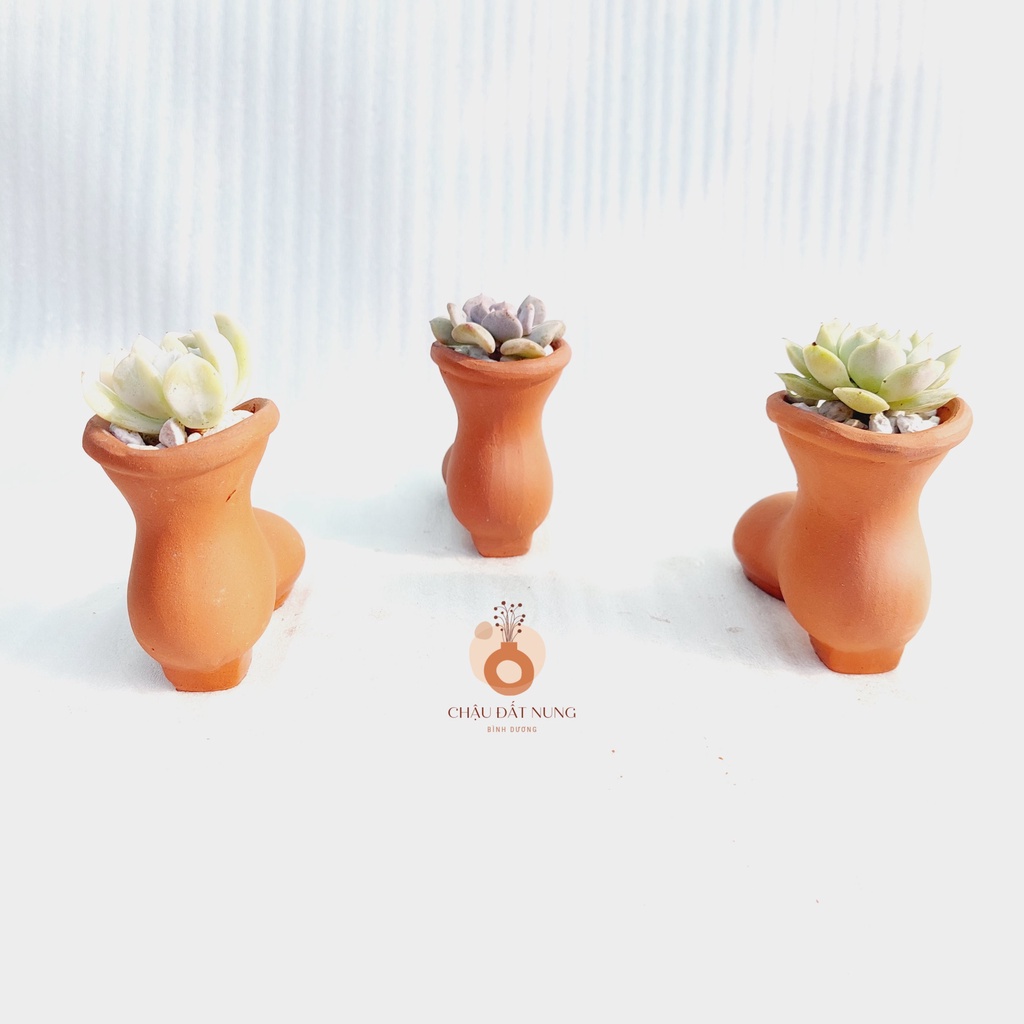 Chậu đất nung, Chậu sen đá - Chiếc hài lọ lem, miệng chậu 4.5cm, chiều cao 7cm