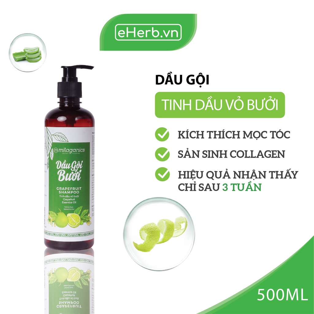 Combo Dầu Gội & Dầu Xả Bưởi Ngừa Rụng & Kích Thích Mọc Tóc Từ Tinh Dầu Bưởi Nguyên Chất MILAGANICS (500ml/ Chai)