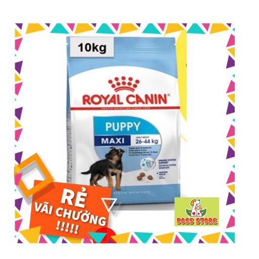 Thức ăn hạt Cho Chó Con Giống Lớn Hạt Royal Canin Maxi Puppy 10 kg
