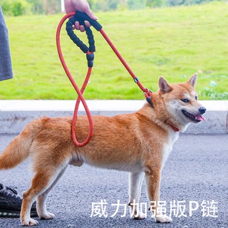 Dây dắt chó cỡ lớn đi dạo chống cháy nổ chuyên dùng