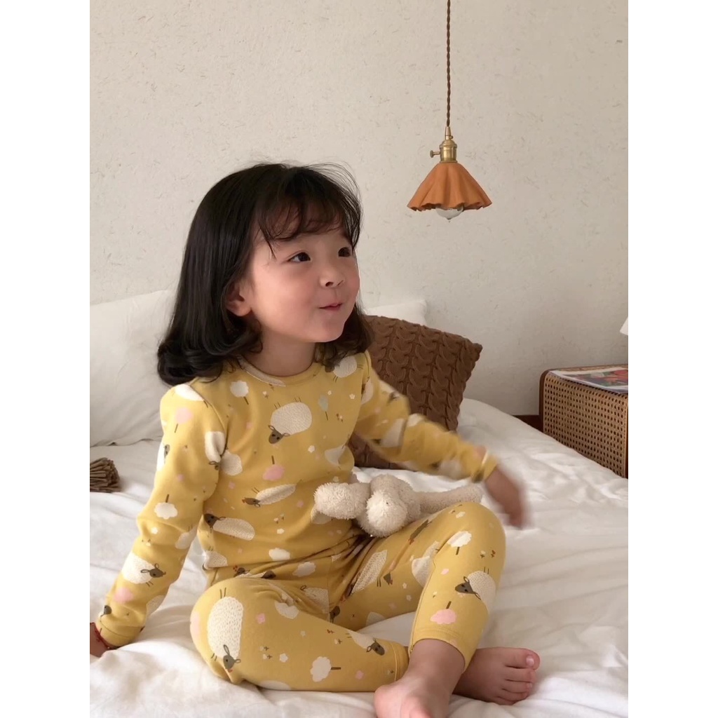 Bộ thu đông dài tay cho bé AMBB KIDS vải cotton mềm đẹp - Hàng Quảng Châu Cao Cấp - BẢNG MÀU 2