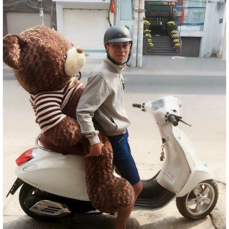 Teddy áo len Big Size hàng cao cấp lông mịn (Hình thật chụp tại shop CMT8)