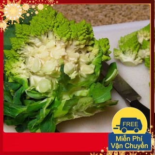 Hạt Giống Súp Lơ San Hô
