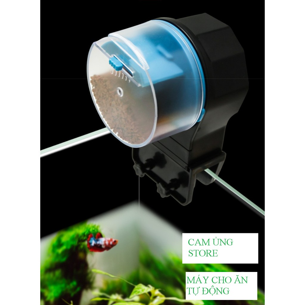 Máy cho ăn tự động các loại cám hạt nhỏ- Máy cho ăn tự động cỡ nhỏ dành cho những người bận rộn