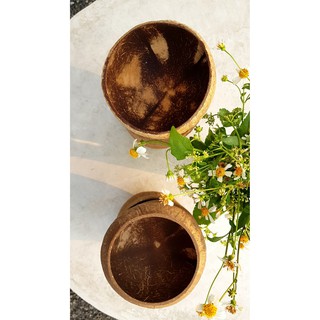 Chén gáo dừa (Bát gáo dừa) xinh xắn