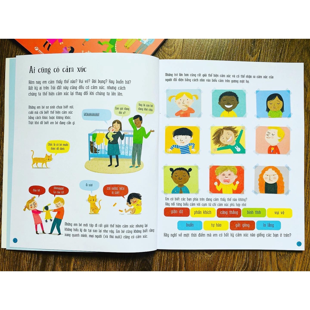 Sách - Tất tần tật về cảm xúc All about feelings