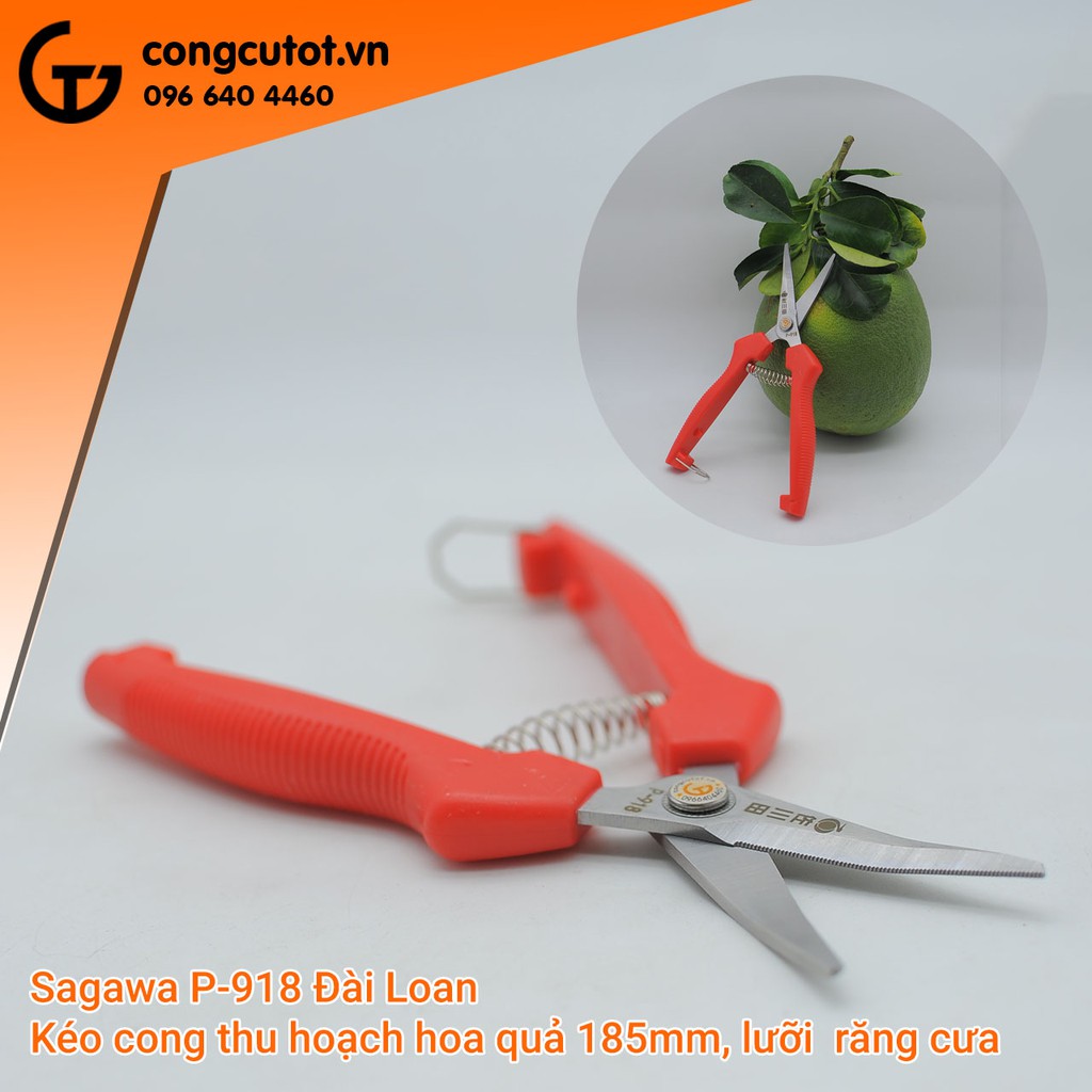 Kéo thu hoạch hoa quả mũi cong Sagawa P-918 180mm