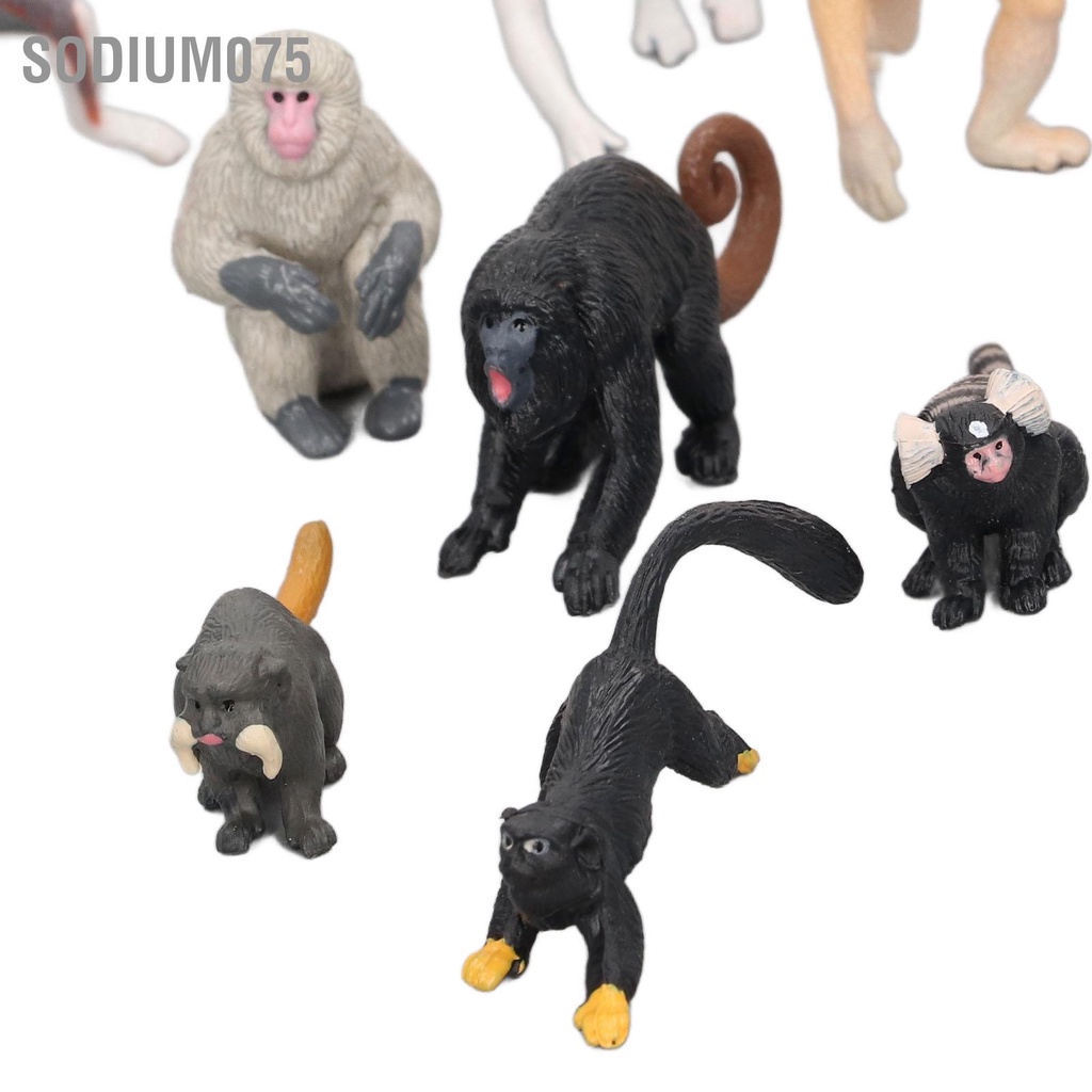 Có thể bán buôn 10PCS Mô hình Linh trưởng Mini Vượn cáo Khỉ Đười ươi Động vật Trang trí Bộ Sodium075 Hàng giao ngay