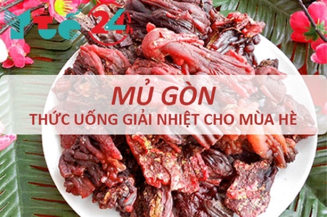 [ 100gr ] Mủ gòn thiên nhiên - thức uống giải nhiệt ngon mát mùa hè | BigBuy360 - bigbuy360.vn