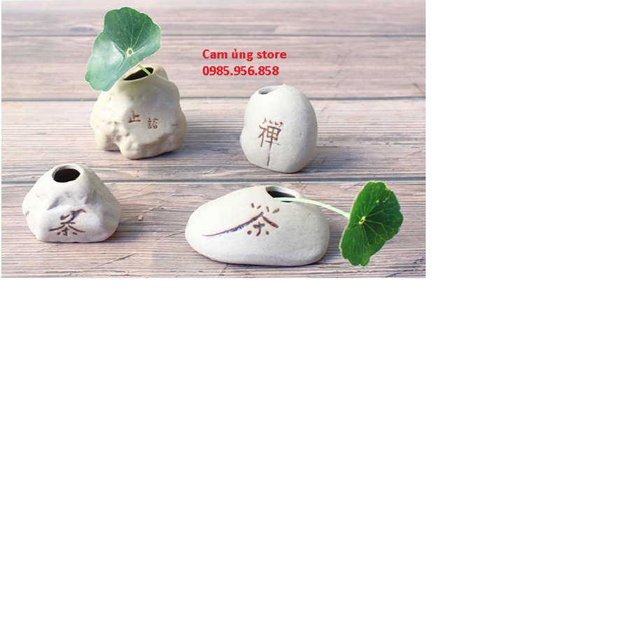 Chậu bình mini trồng cây, trang trí kèm kệ tượng phật- decor không gian tiểu cảnh phối lũa( chưa bao gồm thực vật)