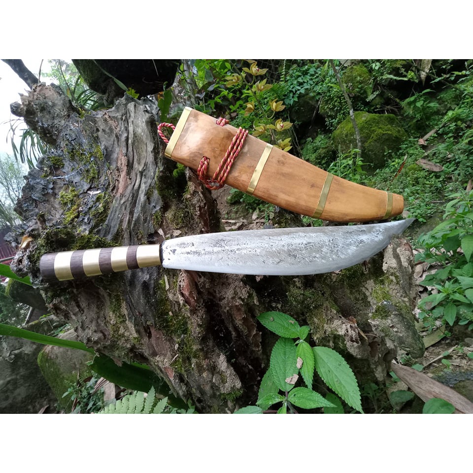 Dao Đi Rừng Điện Biên
