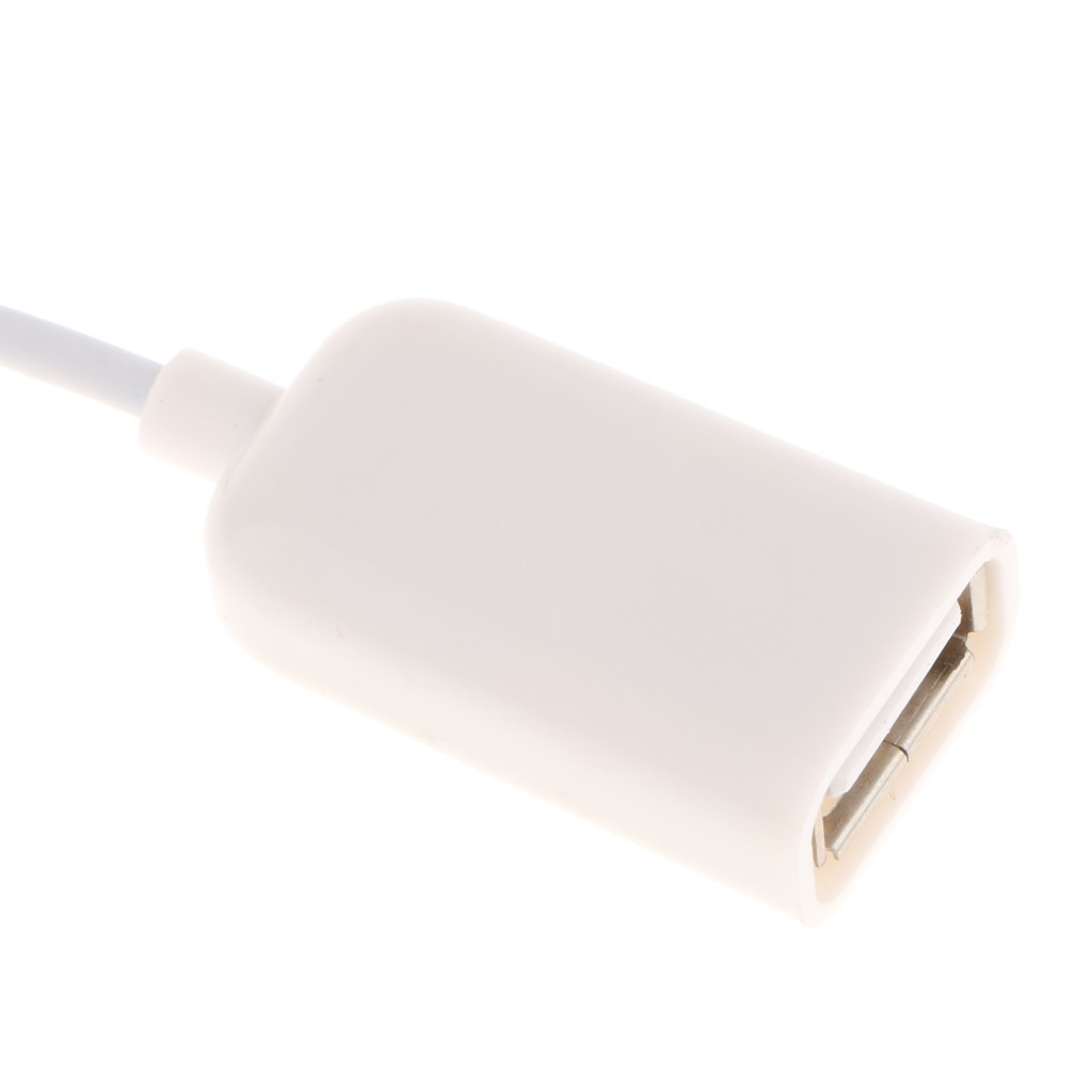 USB Female OTG Adapter Cable Connect Convert Lead for Ipad iPhone Below 10.3 | BigBuy360 - bigbuy360.vn