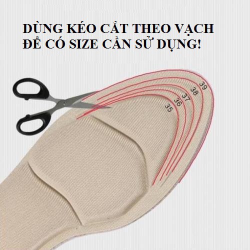 Lót giày thể thao đa năng 4D, thiết kế vòm giúp massage và hút mồ hôi chân – PK32