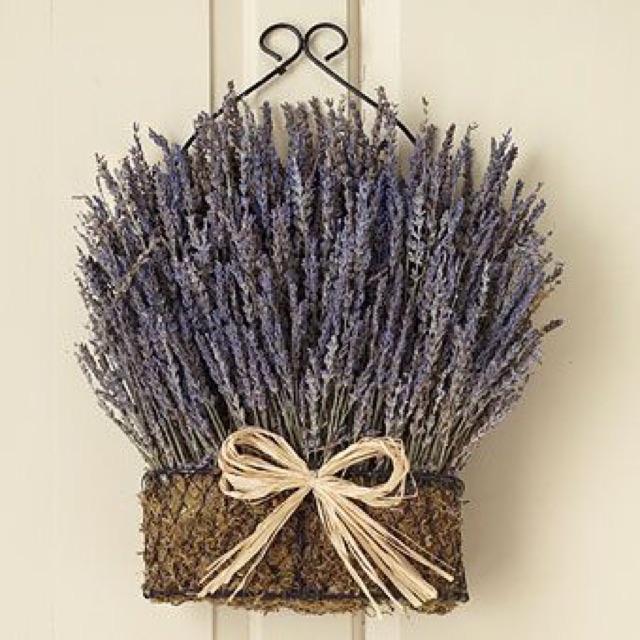 Lavender-hoa khô-quà tặng-tiệm hoa family flowers