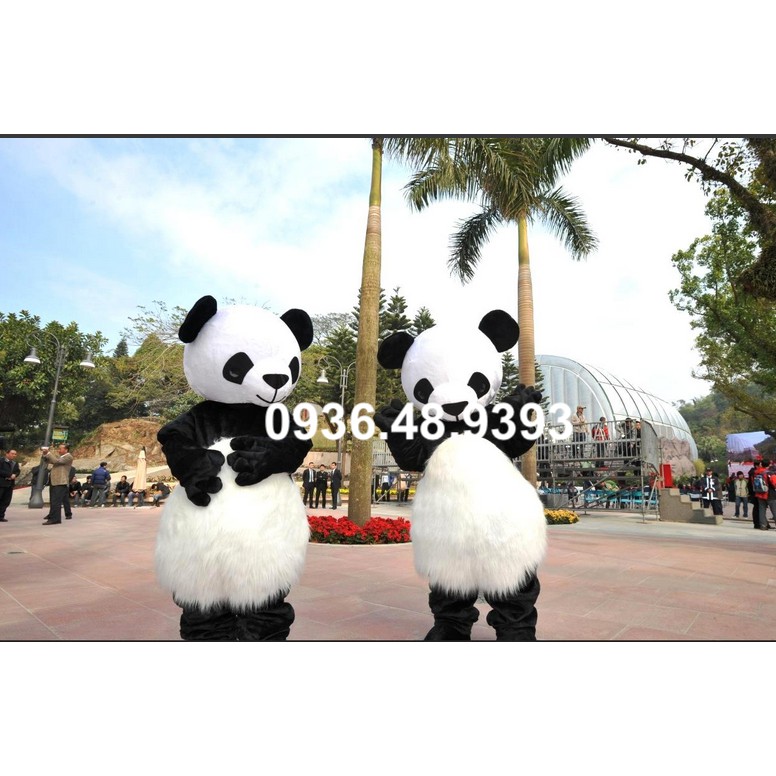 Quần áo hoá trang Mascot Gấu trúc Panda - sinh nhật, sự kiện