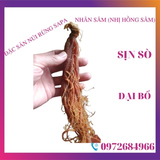Nhân sâm loại siêu vip 55gr/củ dẻo thơm ngon dễ ăn bổ dưỡng tăng cường sức khỏe