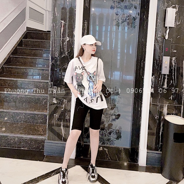 Pull mèo thủy thủ mặt trăng