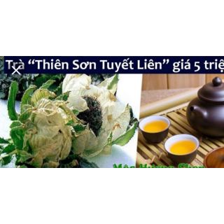 Combo 2 bông thiên liên tuyết sơn