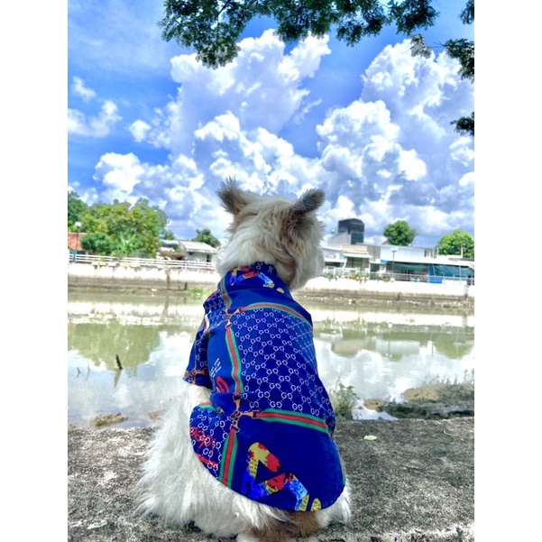 Áo Sơmi Gucci cho thú cưng