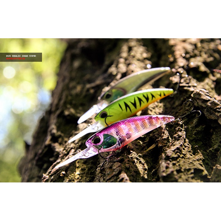 Mồi DUO Realis Shad 62DR SP