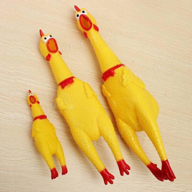 Gà nhựa Shrilling Chicken đã về đủ size🐥