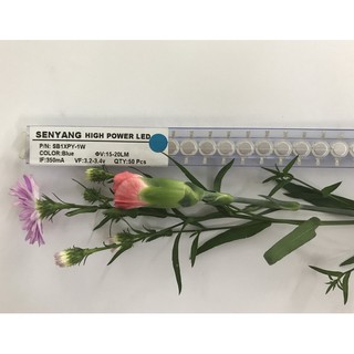 Combo 20 Led Luxeon 1W SenYang, không đế