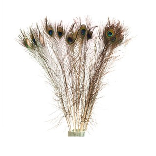 COMBO 10 LÔNG CÔNG TỰ NHIÊN DÀI 80CM