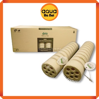 Sứ thanh Lottus Mountain Tree 4x16cm - Sứ củ sen xoắn - Vật liệu lọc cao cấp hồ cá Koi, cá rồng, thủy sinh