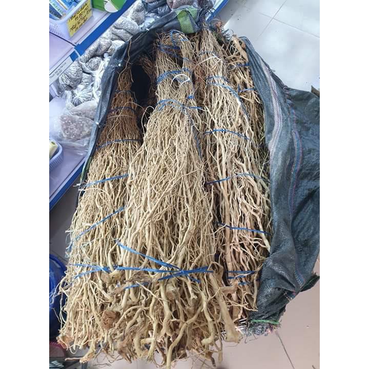 Rễ rừng thuỷ sinh 100g