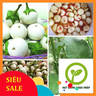 Gói 50 hạt giống cà pháo trắng hat f1