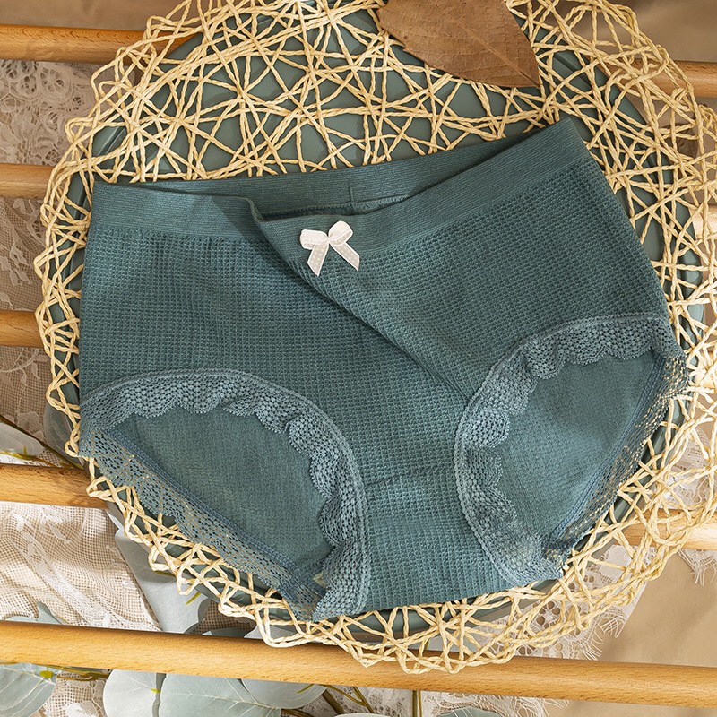 Quần lot nữ cotton xuất hàn, quần chip nữ phom to thông hơi thoáng mát | BigBuy360 - bigbuy360.vn