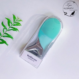 Máy rửa mặt con cá Welderma